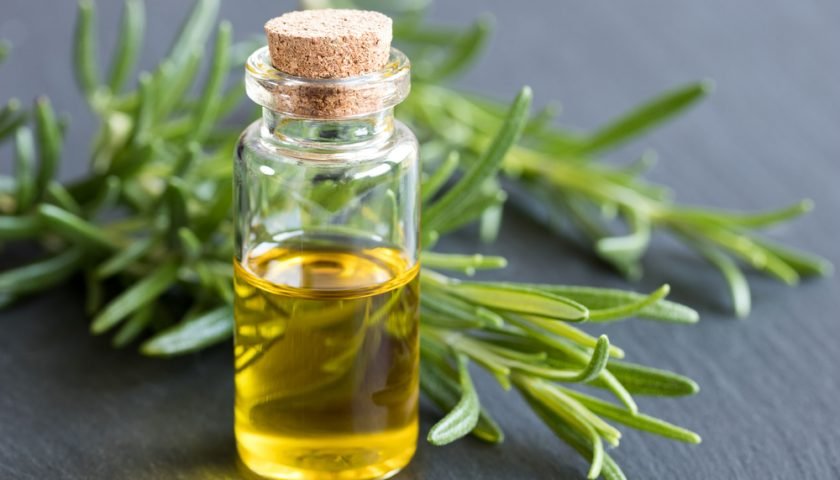 Rosemary Oil